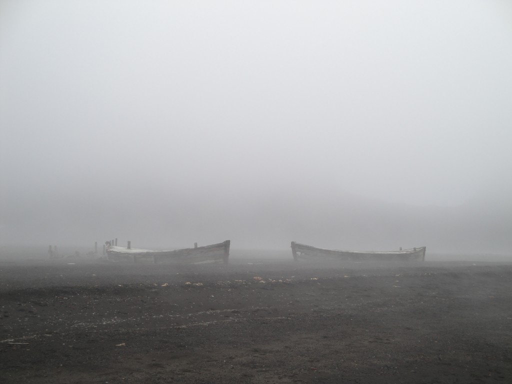Fog at Whaler's Bay